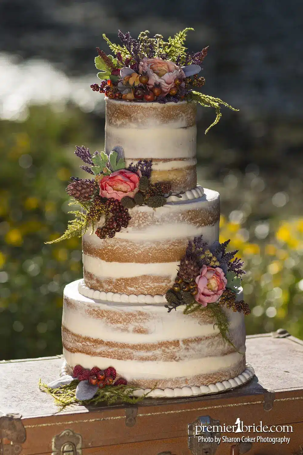 Happily Ever After Cover 2-107