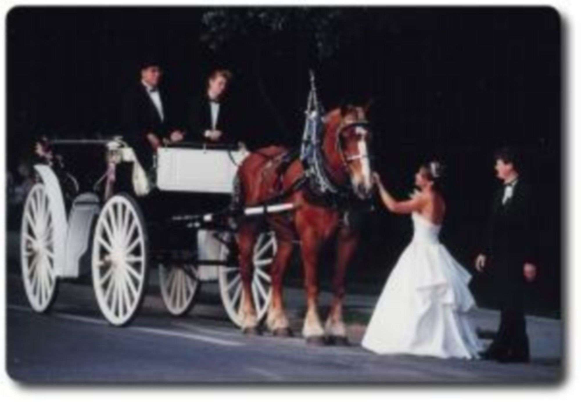 Greengate Farm Carriage Services LLC