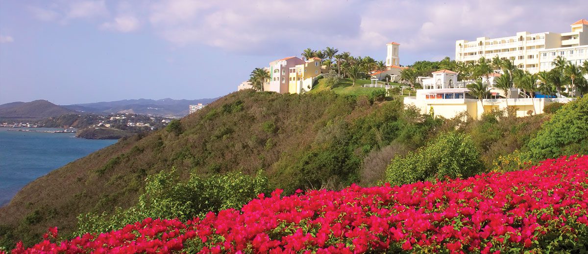 Tropical: Puerto Rico