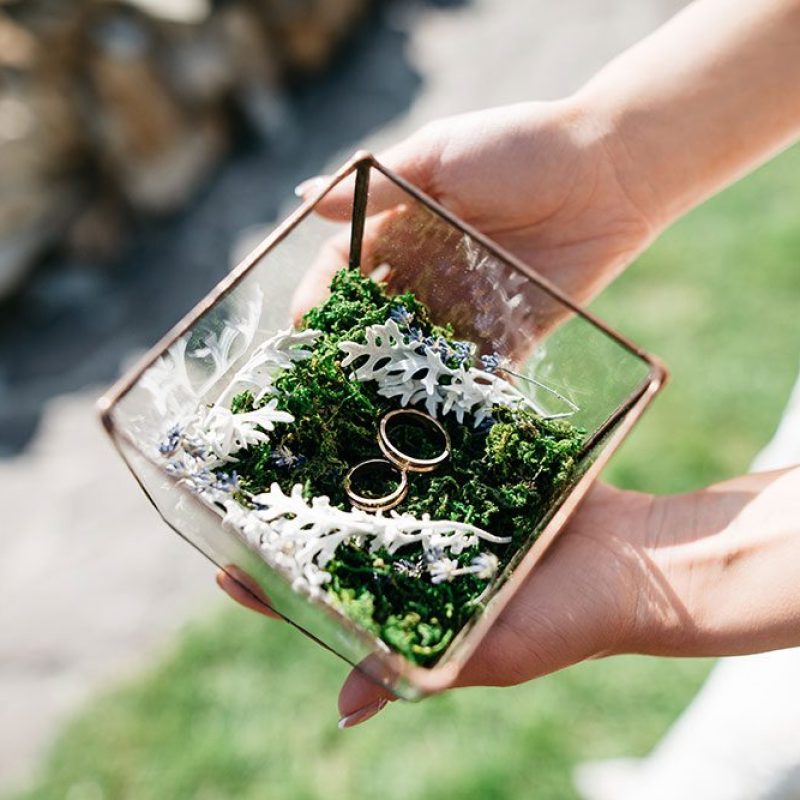 Wedding Ring Presentation