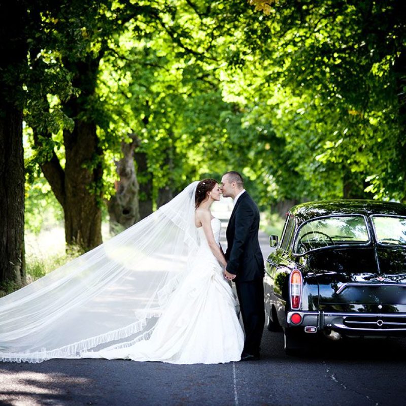 Wedding Transportation Limo