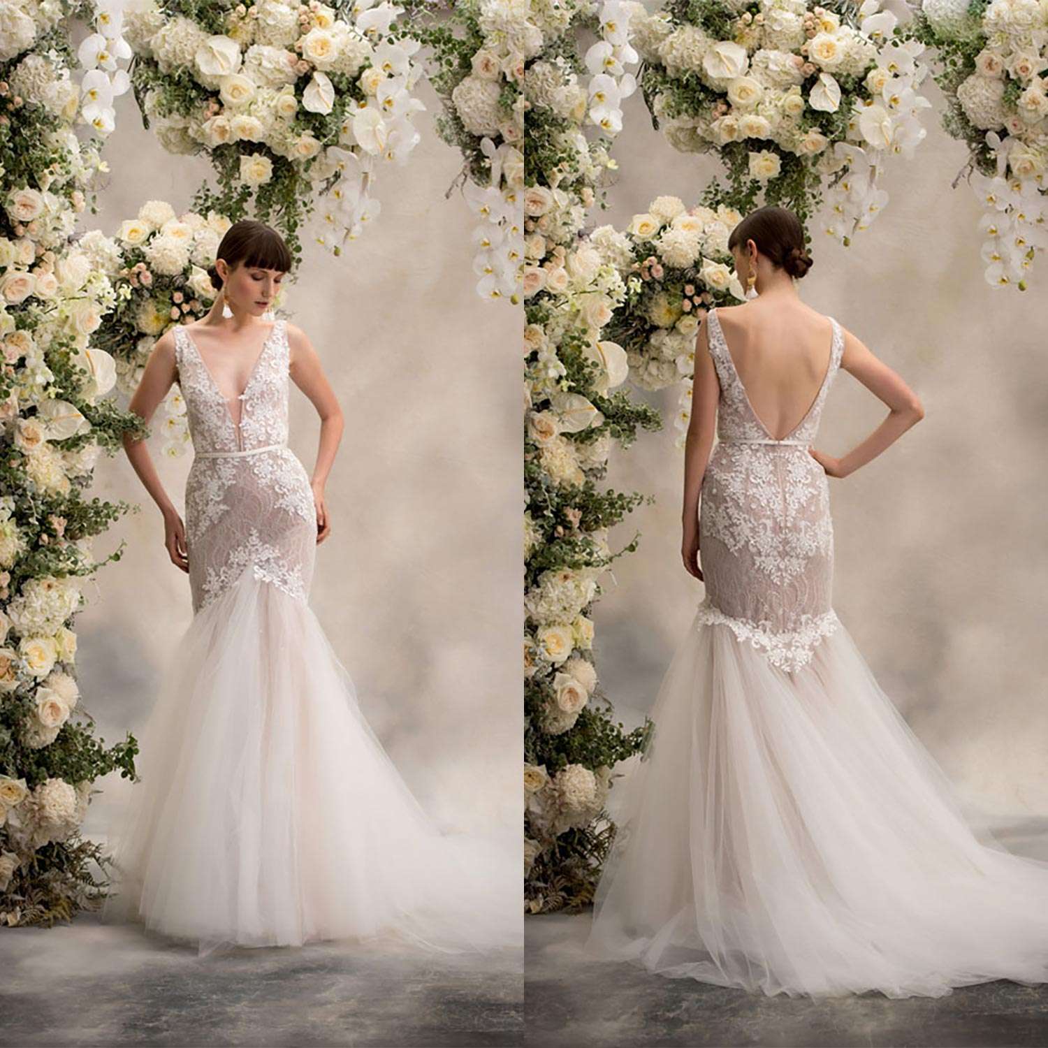 Anna Georgina Inca Lily Collection