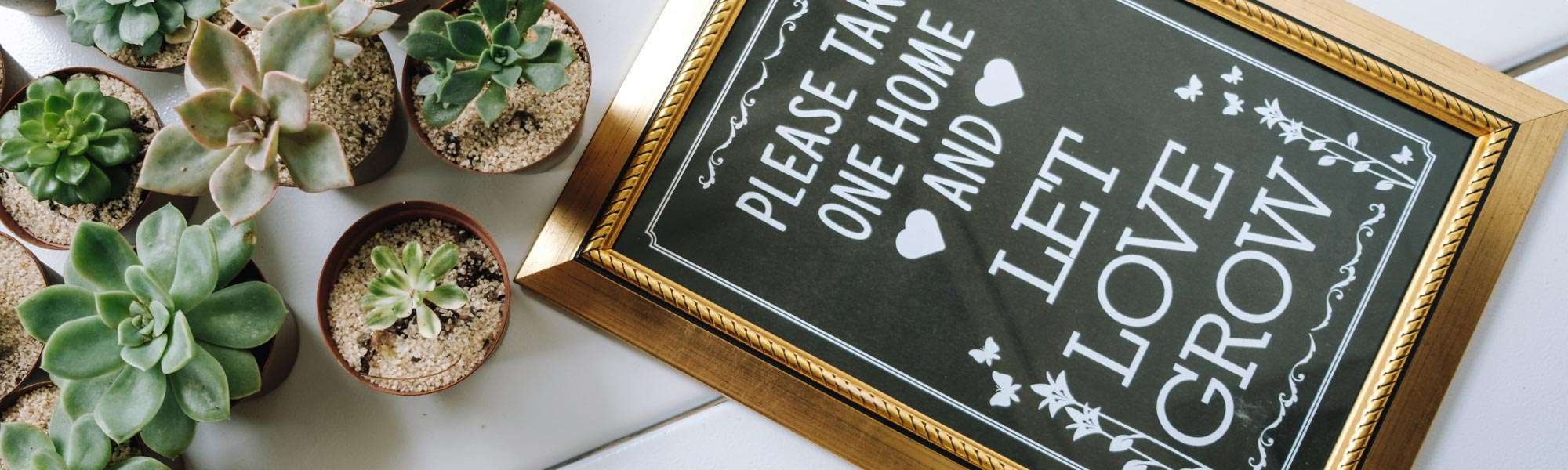 Unique Wedding Favors