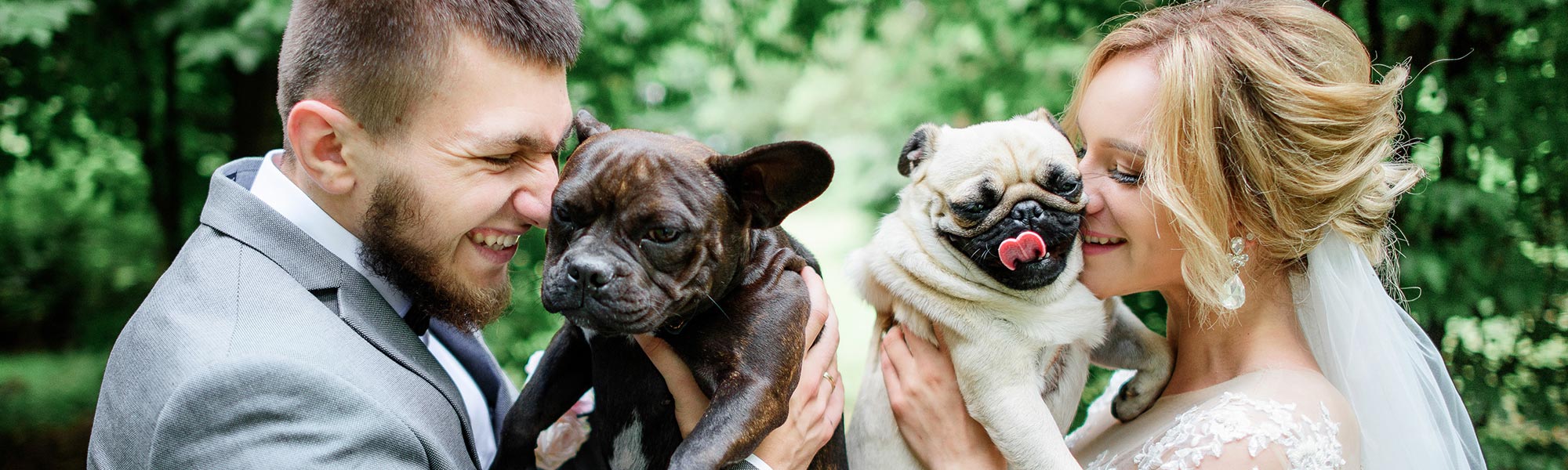 5-Ways-to-Involve-Your-Pet-in-Your-Wedding-1 5 Ways to Involve Your Pet in Your Wedding