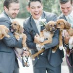 Rescue dogs with groom and groomsmen