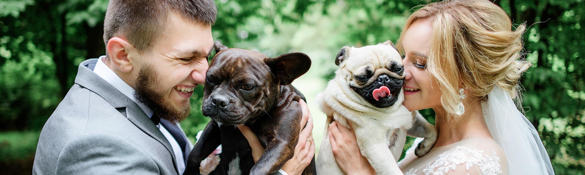 5 Ways to Involve Your pet in Your Wedding